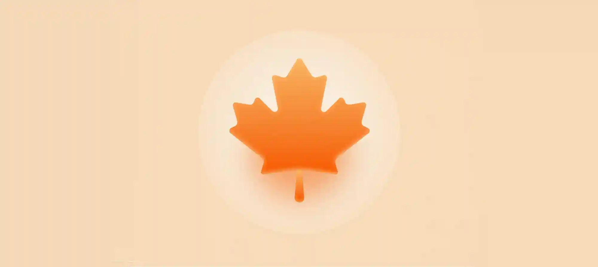 欢迎使用 MapleBlog - 推荐阅读